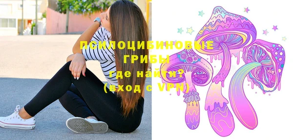 дживик Алексин