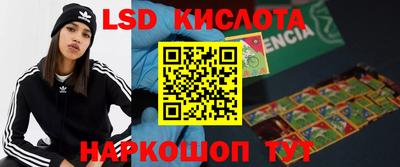 индика Нижний Тагил