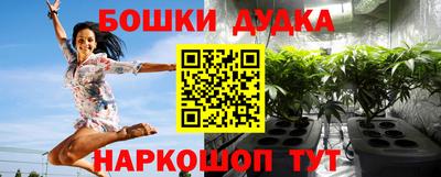 индика Нижний Тагил
