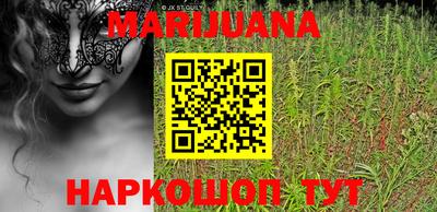 индика Нижний Тагил