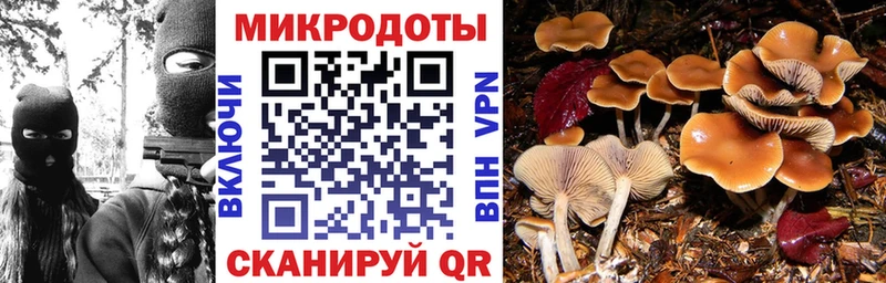 Галлюциногенные грибы мухоморы  Беслан 