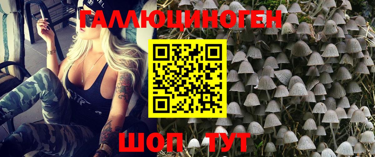Галлюциногенные грибы мухоморы Беслан